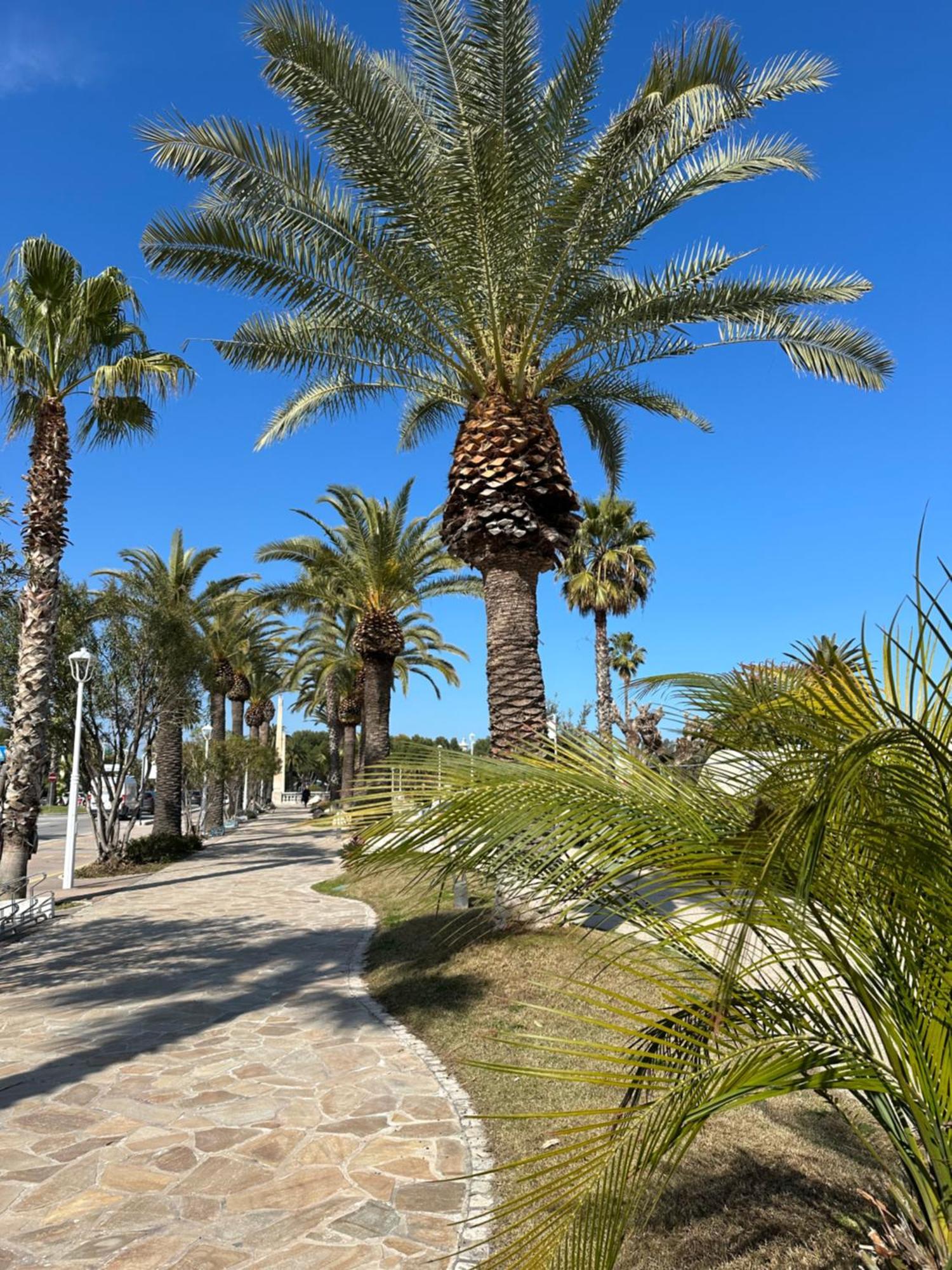 Appartamenti La Barchetta San Benedetto del Tronto Exterior photo